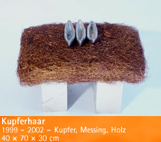 Kupferhaar – 1999 - 2002 – Kupfer, Messing, Holz – 40 × 70 × 30 cm